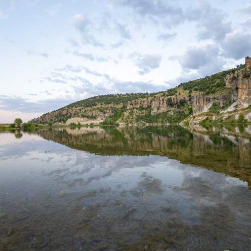 Photo #12309350