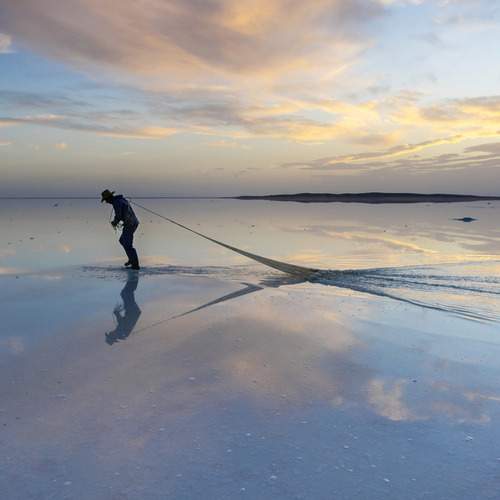 Photo #12309381