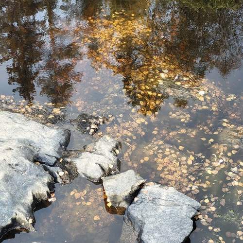 Photo #12309409