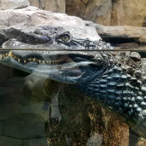 Photo #12309412