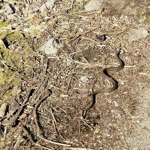 Photo #12309817