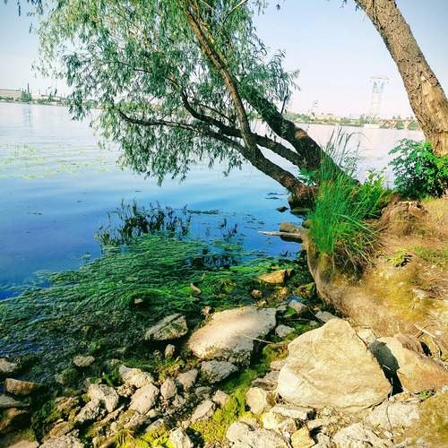 Photo #12309819