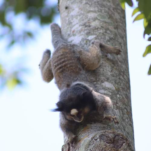 Photo #12309952