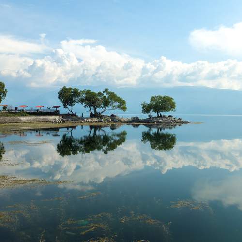 Photo #12310005