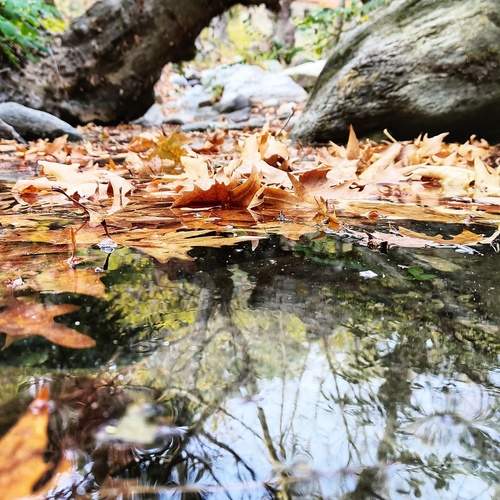 Photo #12310028
