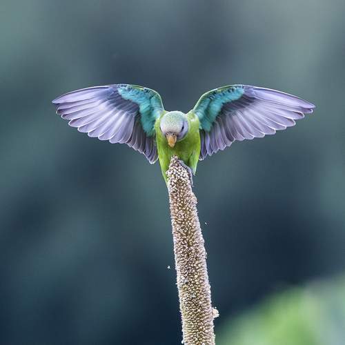 Photo #12310125