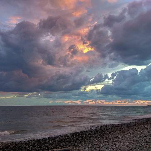 Photo #12310211