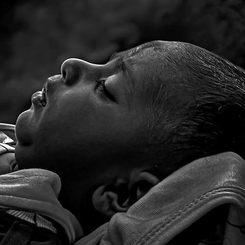 Photo #12310348