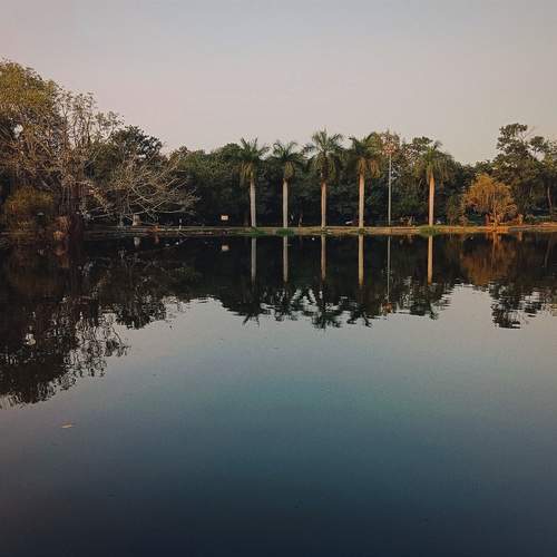 Photo #12310455