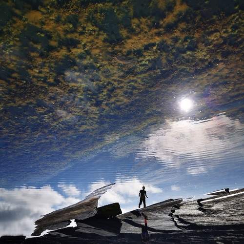 Photo #12310521