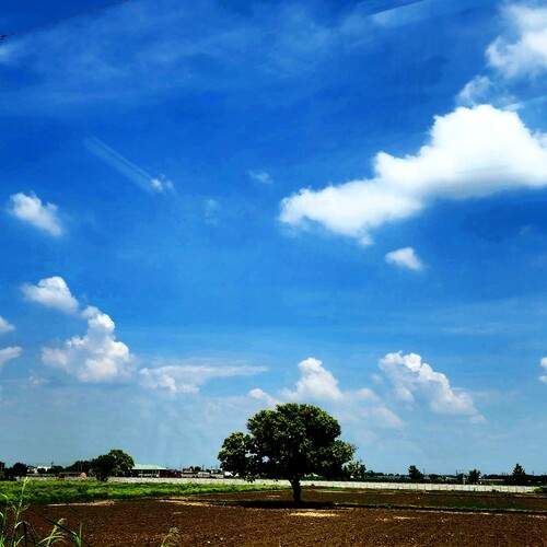 Photo #12310651