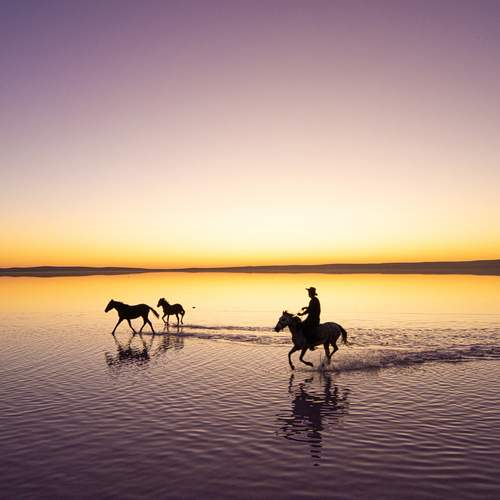 Photo #12310824