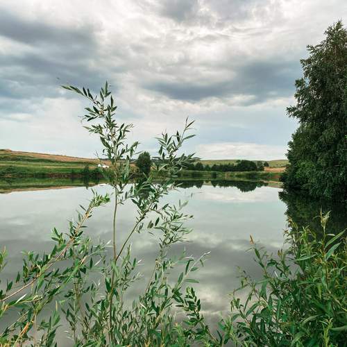 Photo #12311044