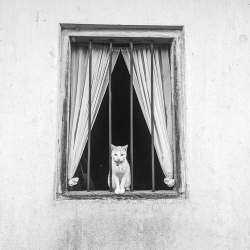 Photo #12311697