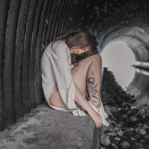 Photo #12311713