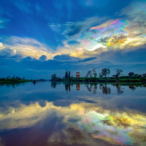 Photo #12311774