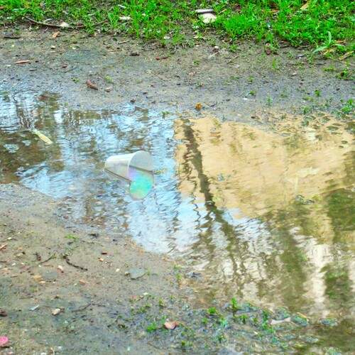 Photo #12311800