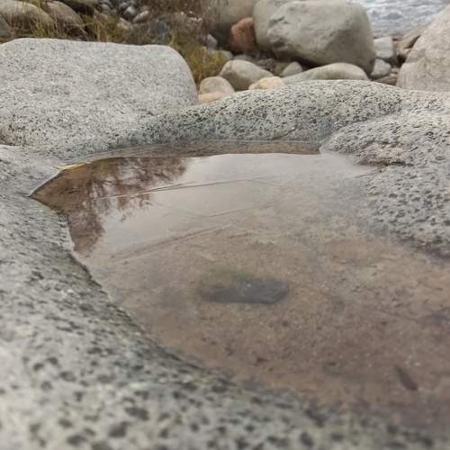 Photo #12311983