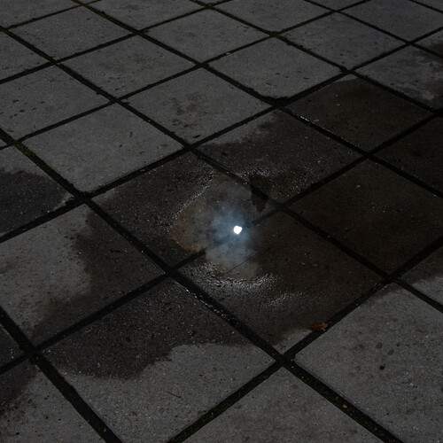 Photo #12312064