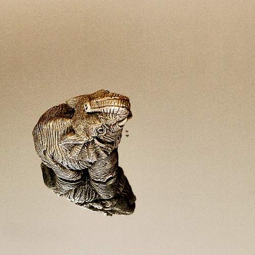 Photo #12312223