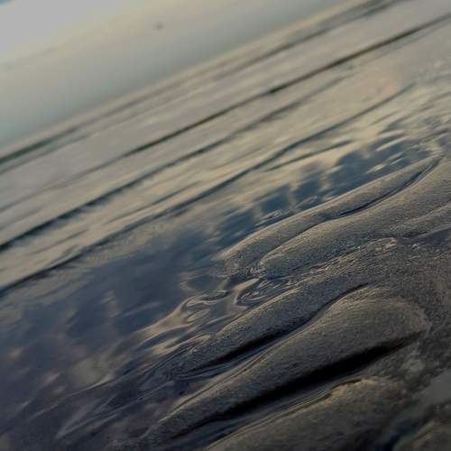 Photo #12312400