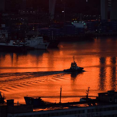 Photo #12312439