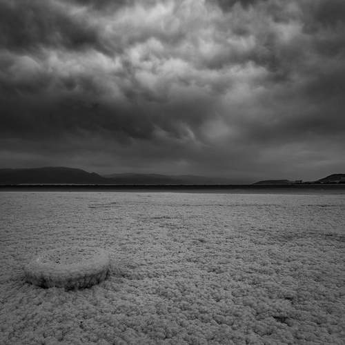 Photo #12312442