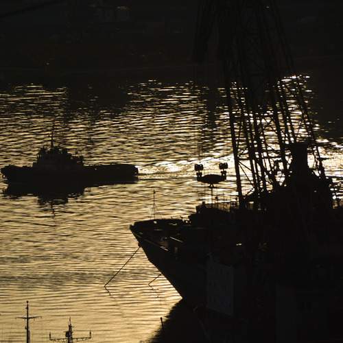 Photo #12312453