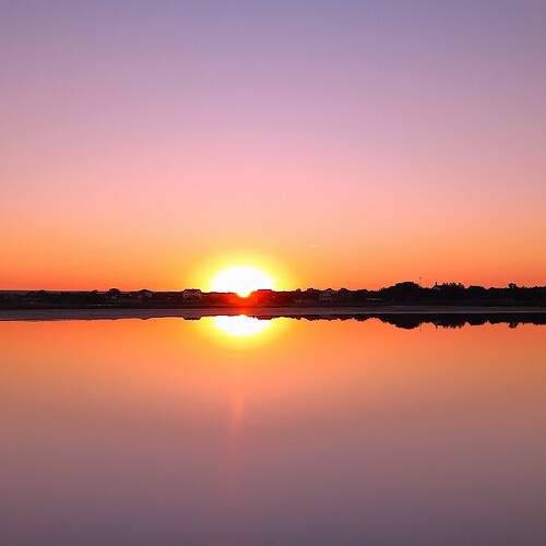 Photo #12312782