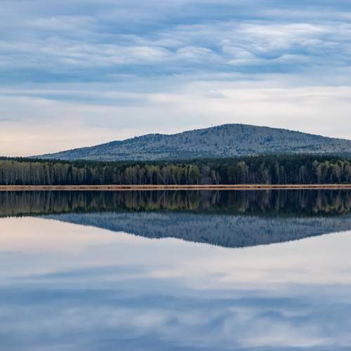 Photo #12312821