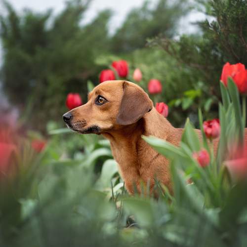 Photo #12313332