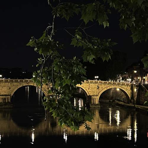 Photo #12313493