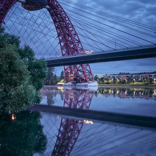 Photo #12313591