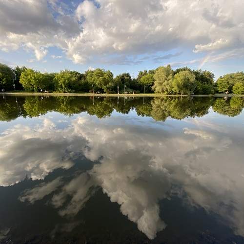 Photo #12313866
