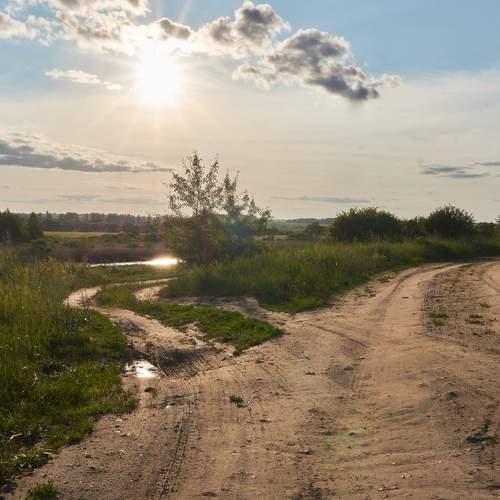 Photo #12314213