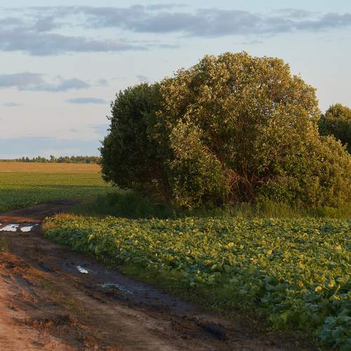 Photo #12314219