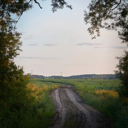 Photo #12314260