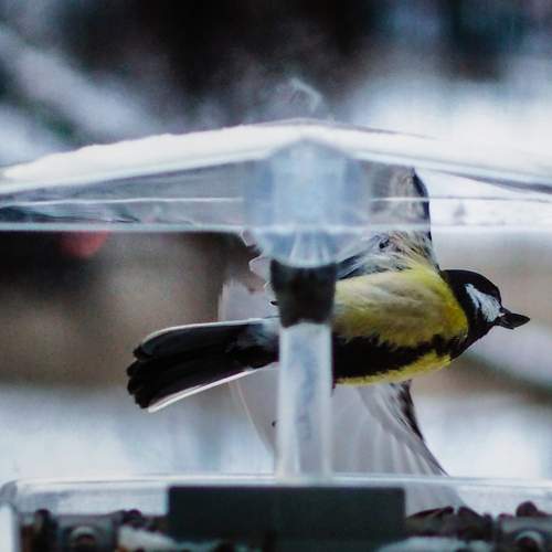 Photo #12314508