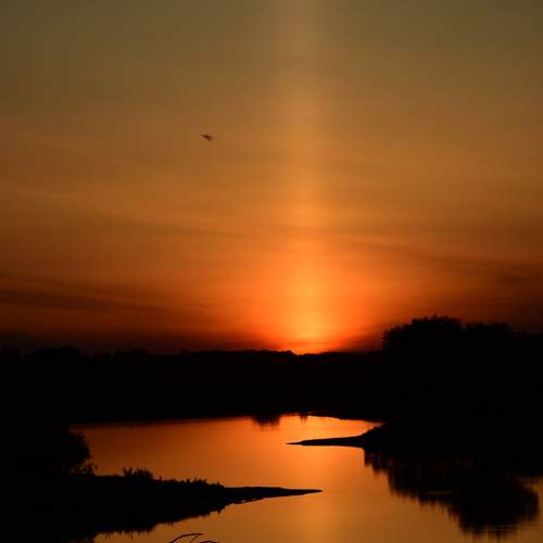 Photo #12314659
