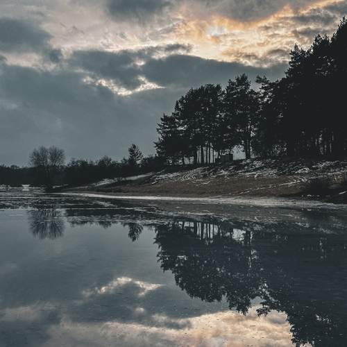 Photo #12314672