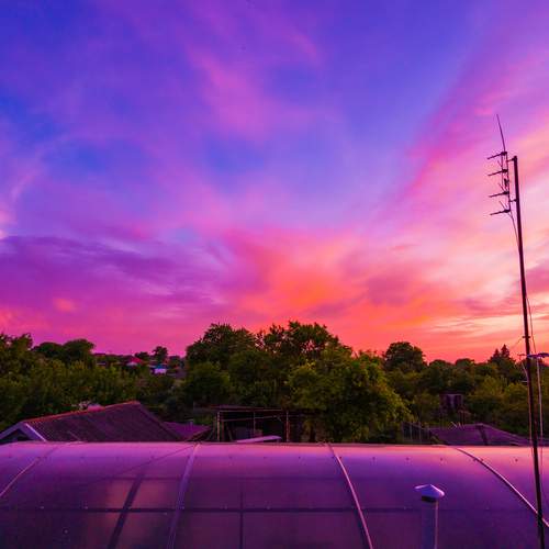Photo #12314743
