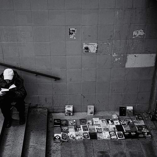 Photo #12314790
