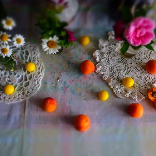 Photo #12315115