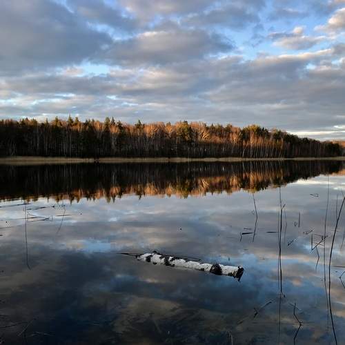 Photo #12315550