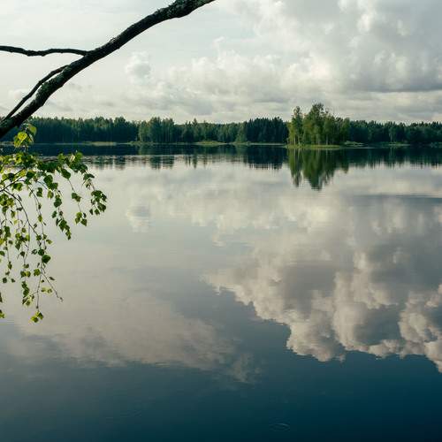 Photo #12315663