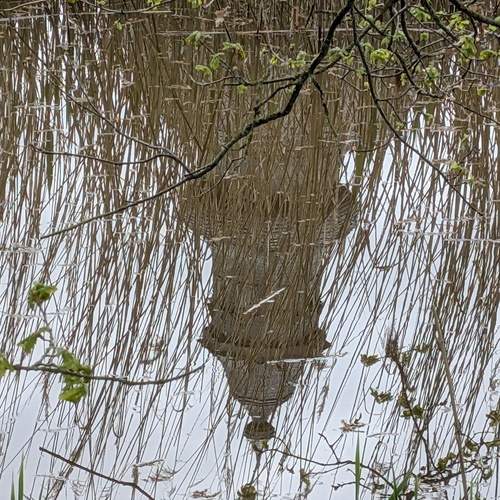 Photo #12315846