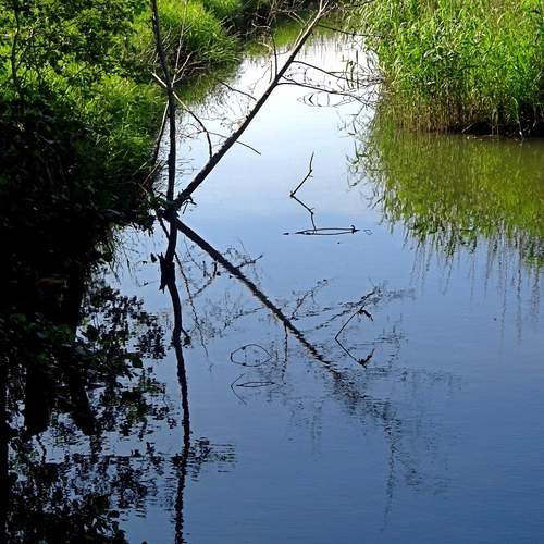 Photo #12315968