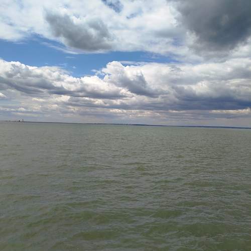 Photo #12316127