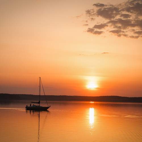 Photo #12316187