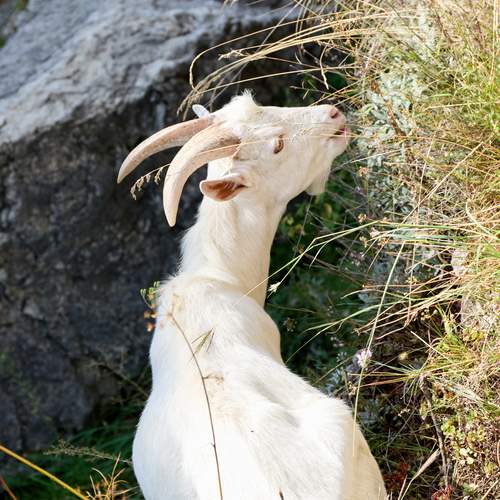 Photo #12316237